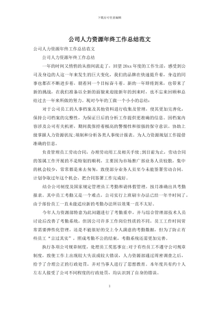 公司人力资源年终工作总结范文