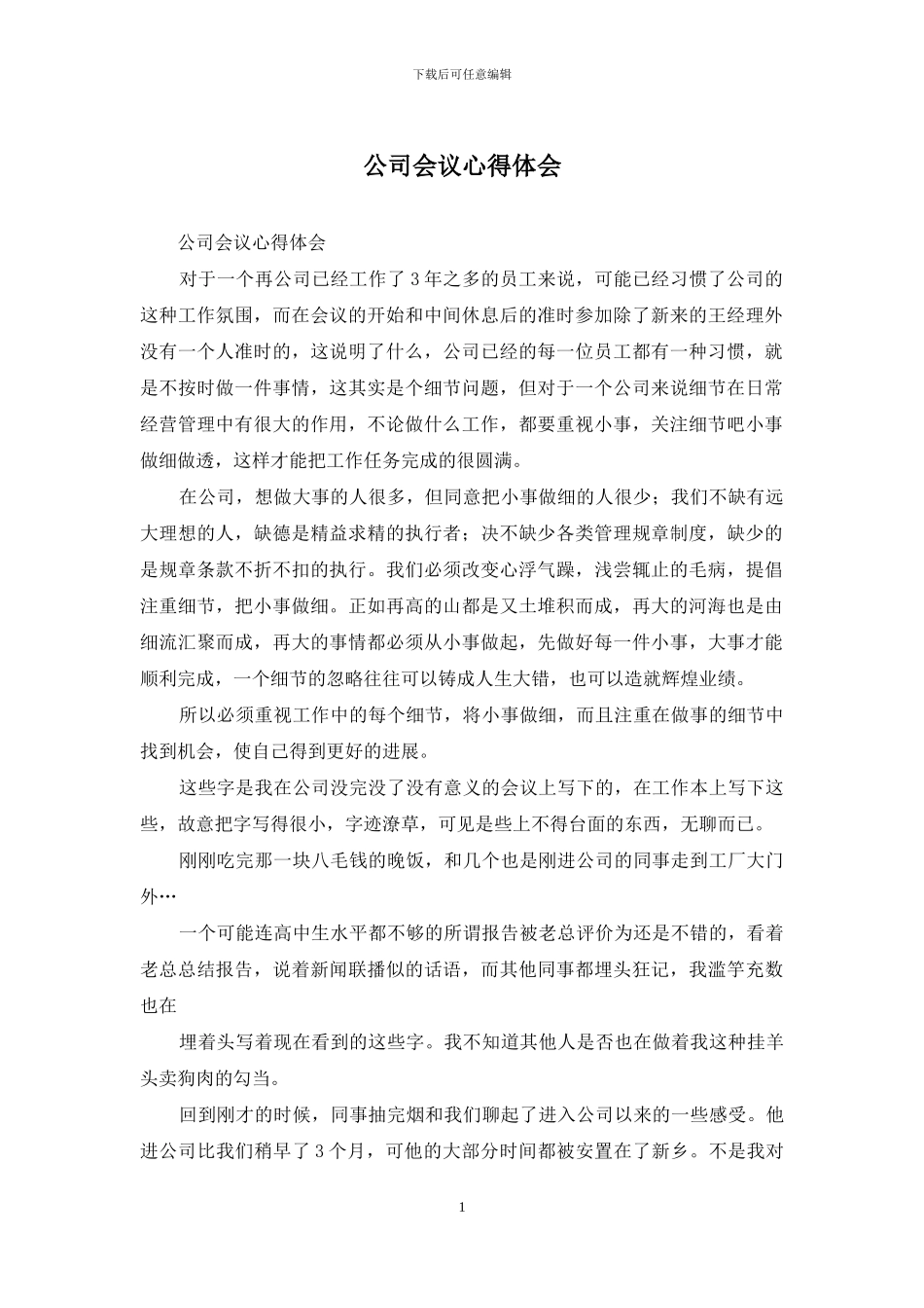 公司会议心得体会_第1页