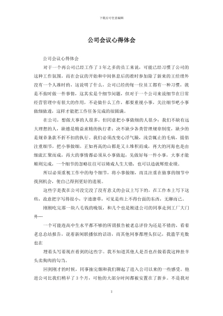 公司会议心得体会