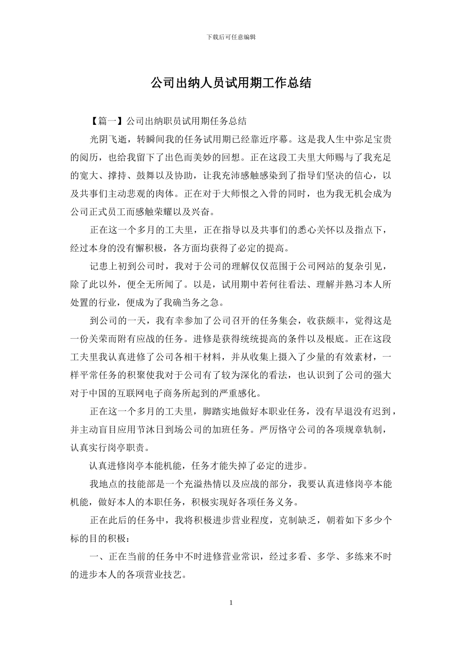 公司出纳人员试用期工作总结_第1页