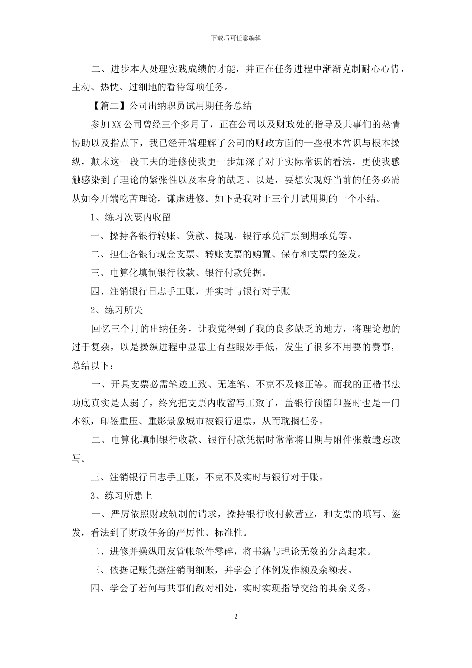 公司出纳人员试用期工作总结_第2页