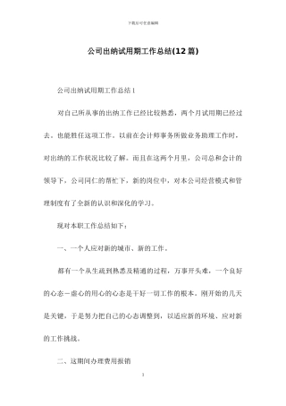 公司出纳试用期工作总结
