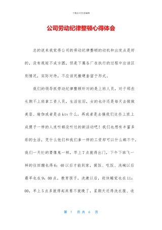 公司劳动纪律整顿心得体会