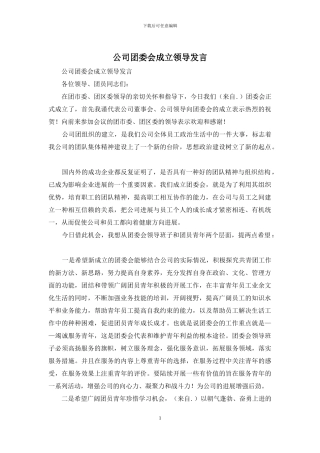公司团委会成立领导发言