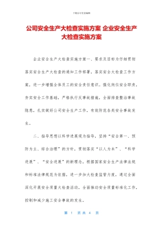公司安全生产大检查实施方案