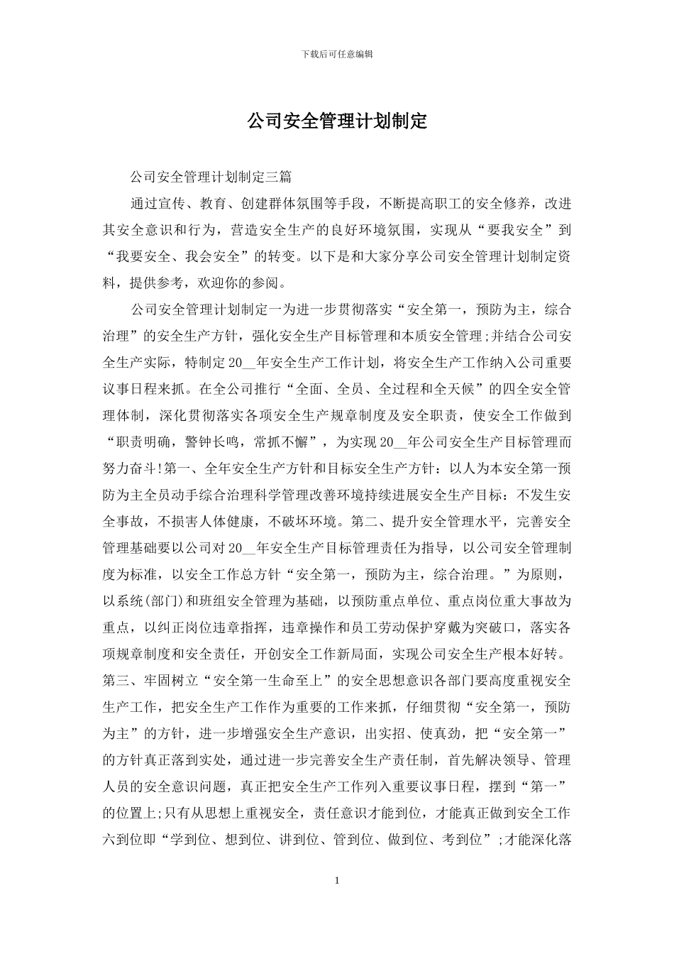 公司安全管理计划制定_第1页