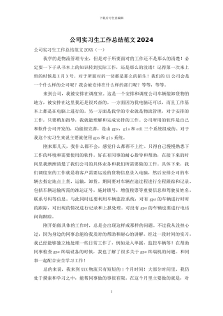 公司实习生工作总结范文2024