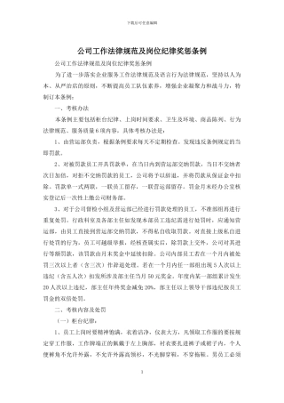 公司工作规范及岗位纪律奖惩条例