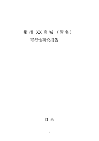 衢州某商城项目可行性研究报告