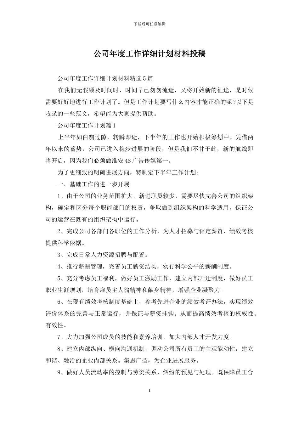 公司年度工作详细计划材料投稿_第1页