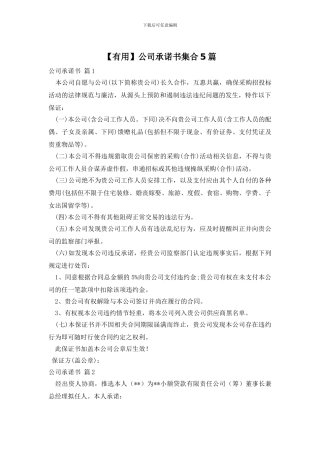 公司承诺书集合5篇