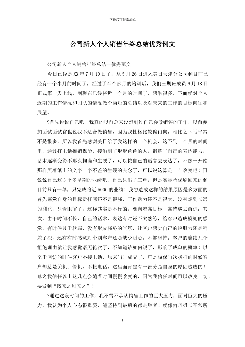 公司新人个人销售年终总结优秀例文_第1页