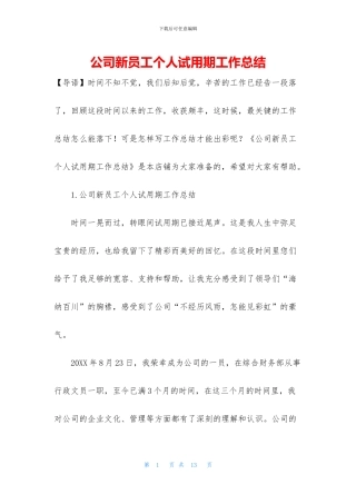 公司新员工个人试用期工作总结