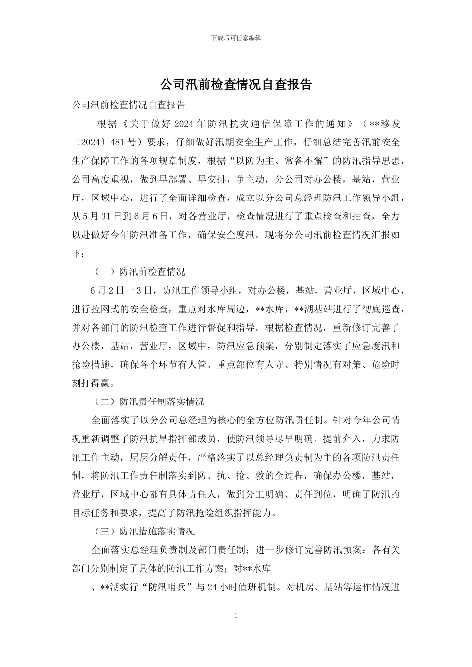 公司汛前检查情况自查报告_第1页