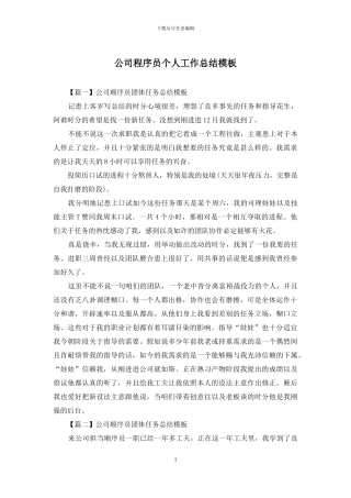 公司程序员个人工作总结模板