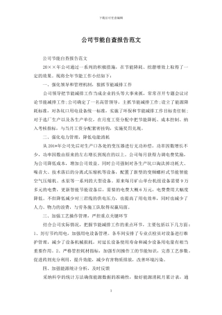 公司节能自查报告范文