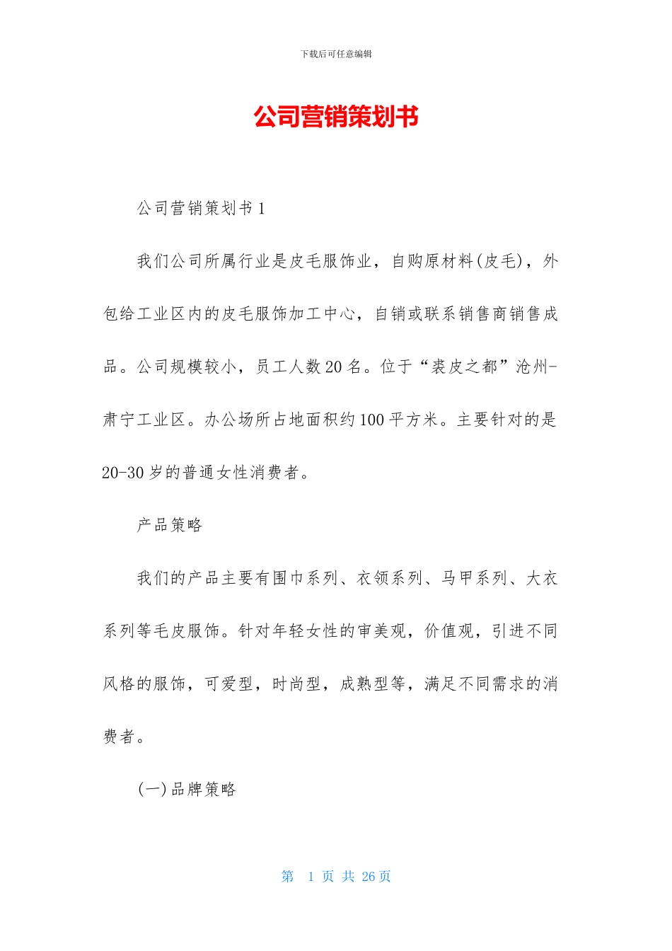 公司营销策划书_第1页