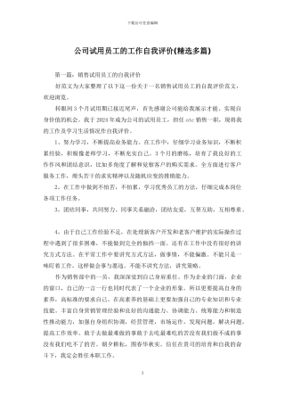 公司试用员工的工作自我评价