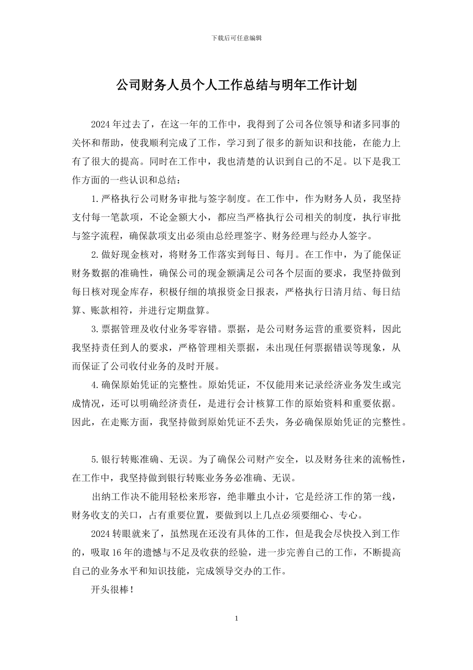 公司财务人员个人工作总结与明年工作计划_第1页