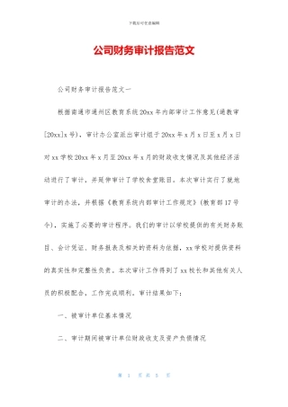 公司财务审计报告范文