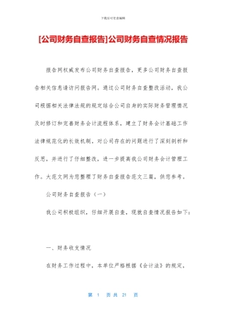 公司财务自查情况报告