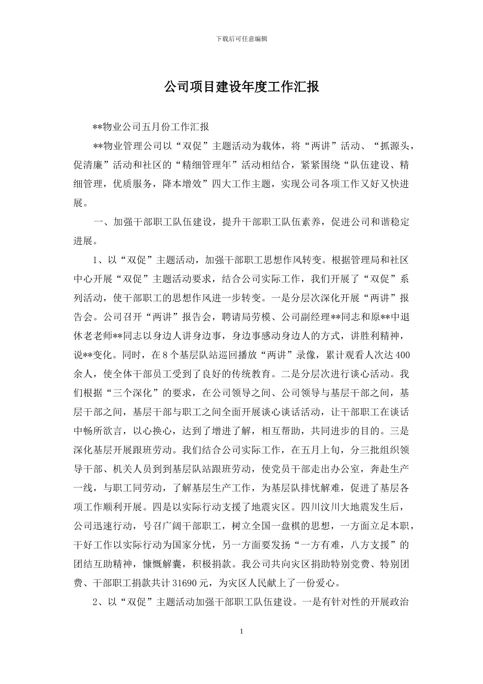 公司项目建设年度工作汇报_第1页