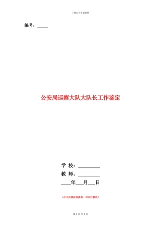 公安局巡察大队大队长工作鉴定