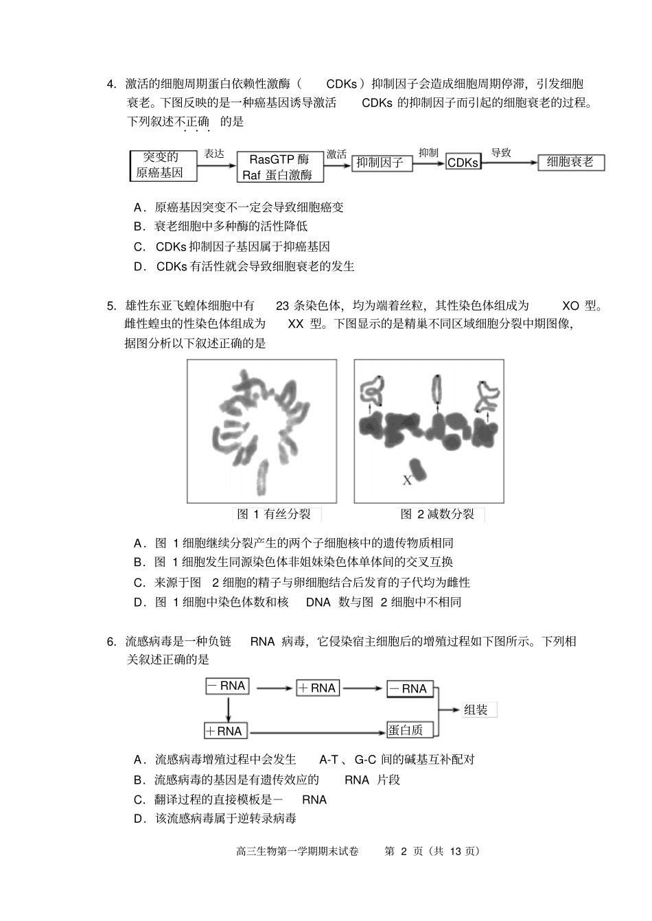西城区2017年生物1月高三期末试卷汇总_第2页