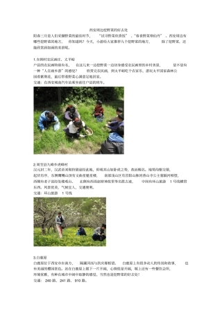 西安周边挖野菜好去处