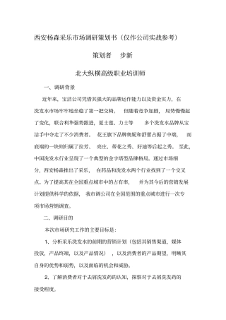 西安杨森采乐场调研策划书