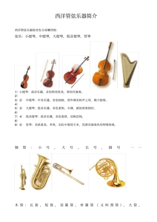 西洋管弦乐器介绍