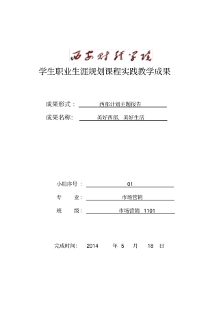 西部计划主题报告