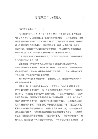 见习期工作小结范文