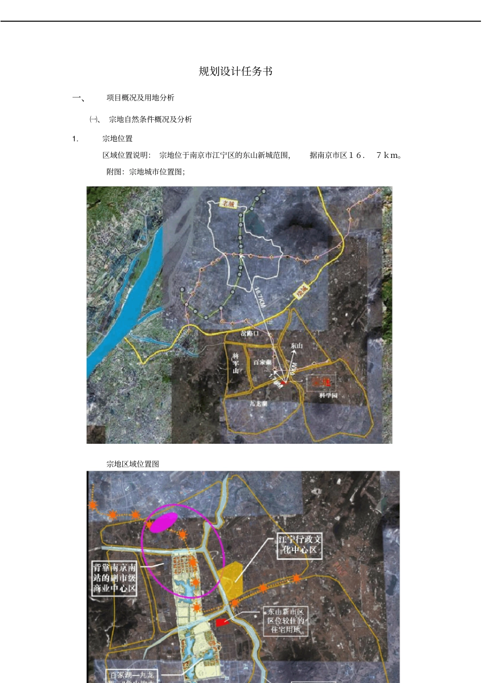 规划设计任务书_第2页