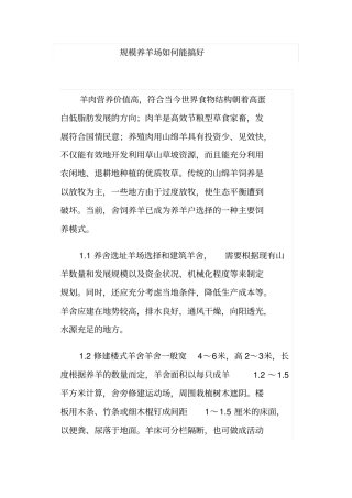 规模养羊场如何能搞好