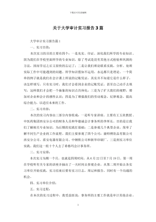 关于大学审计实习报告3篇
