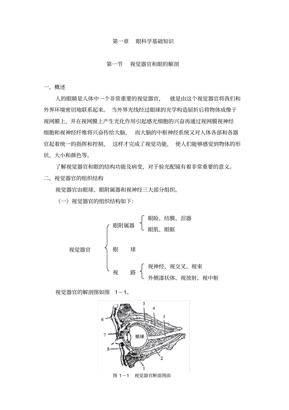 视觉器官和眼的解剖_第1页