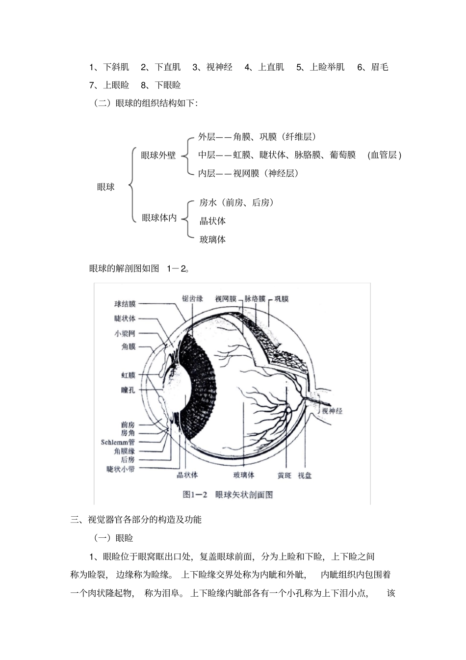 视觉器官和眼的解剖_第2页