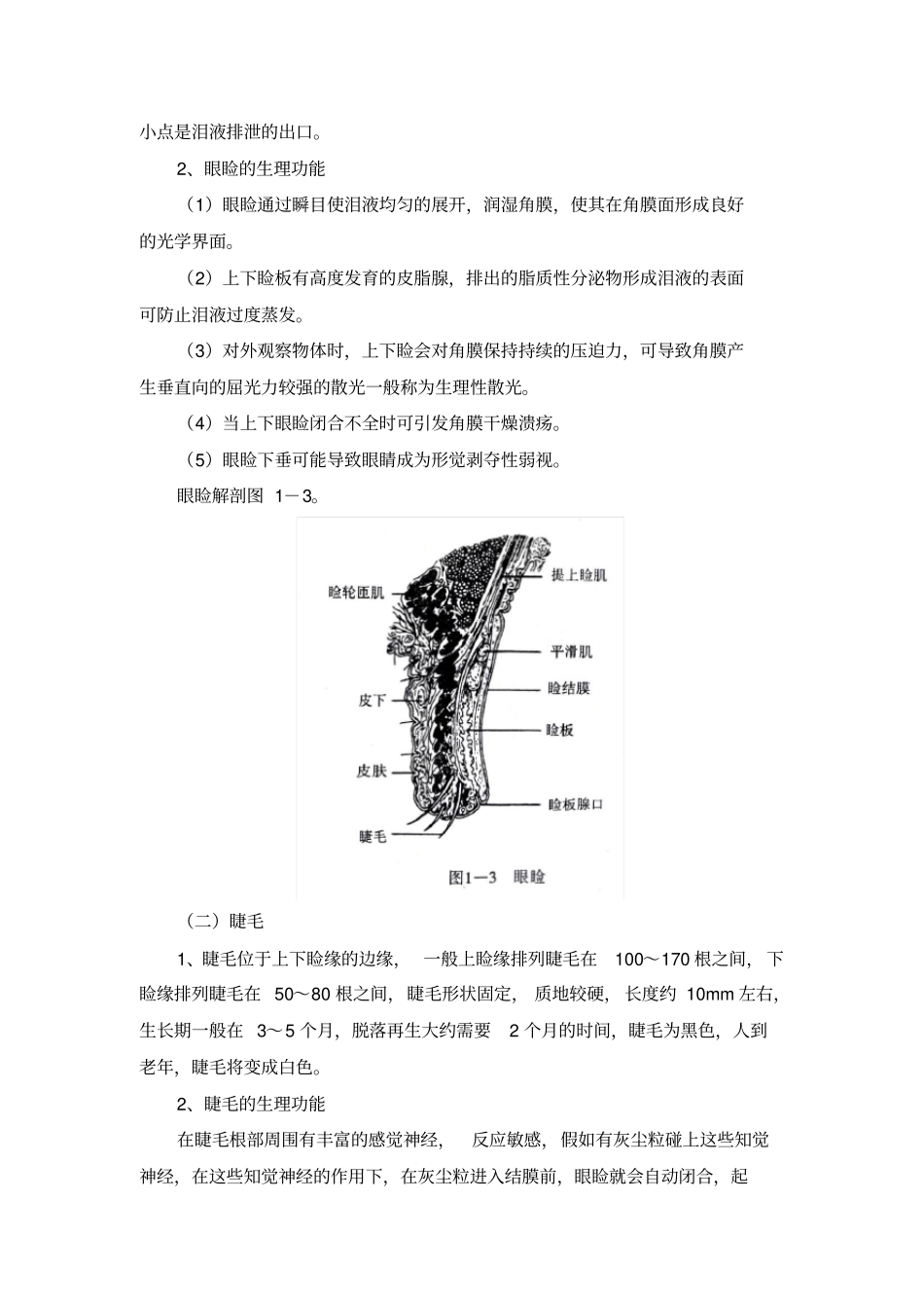 视觉器官和眼的解剖_第3页