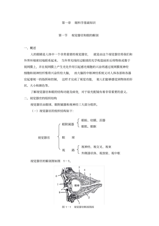 视觉器官和眼的解剖
