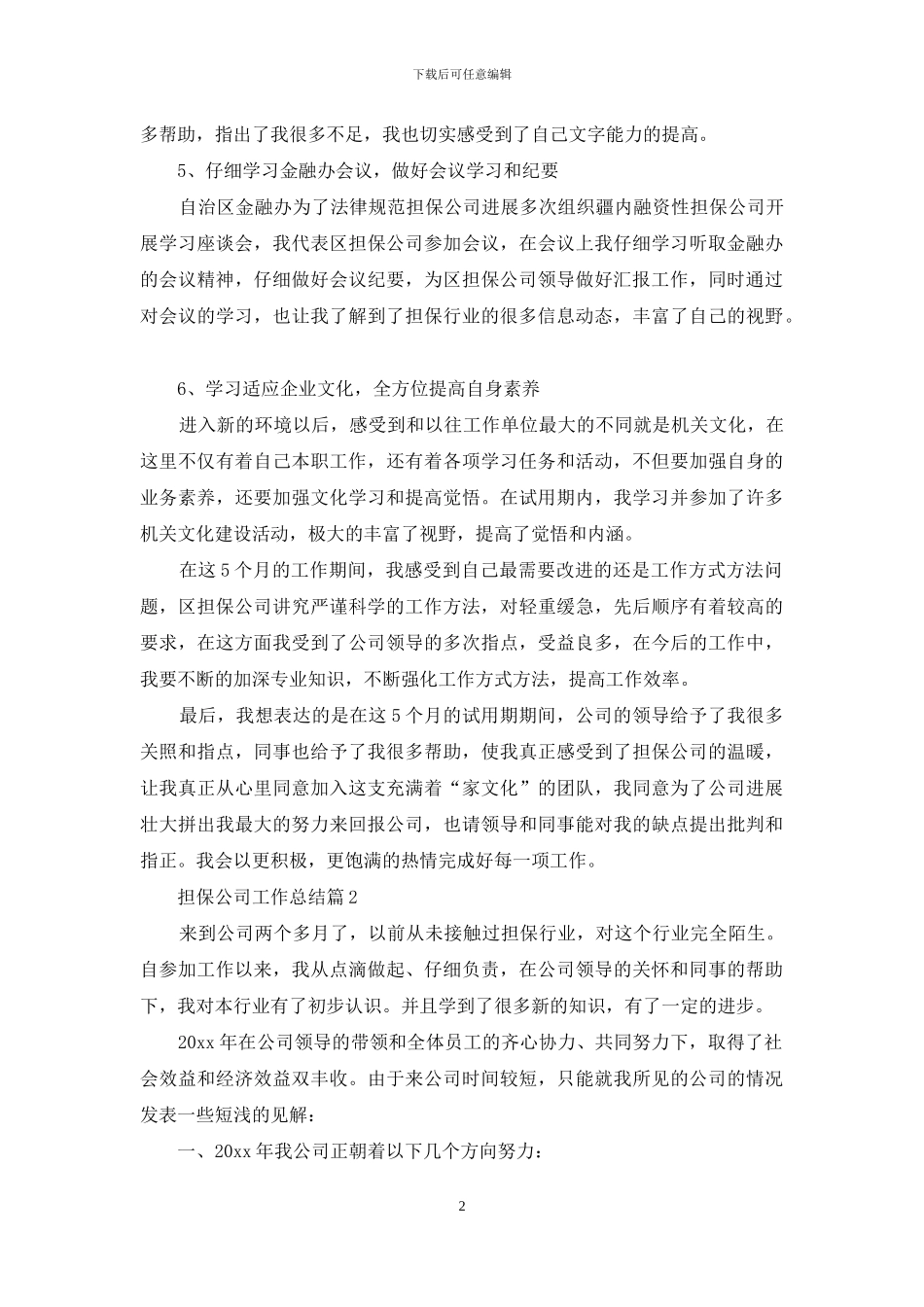 关于担保公司工作总结集合5篇_第2页