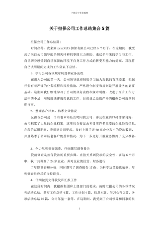 关于担保公司工作总结集合5篇