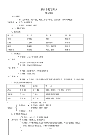 解剖学复习要点