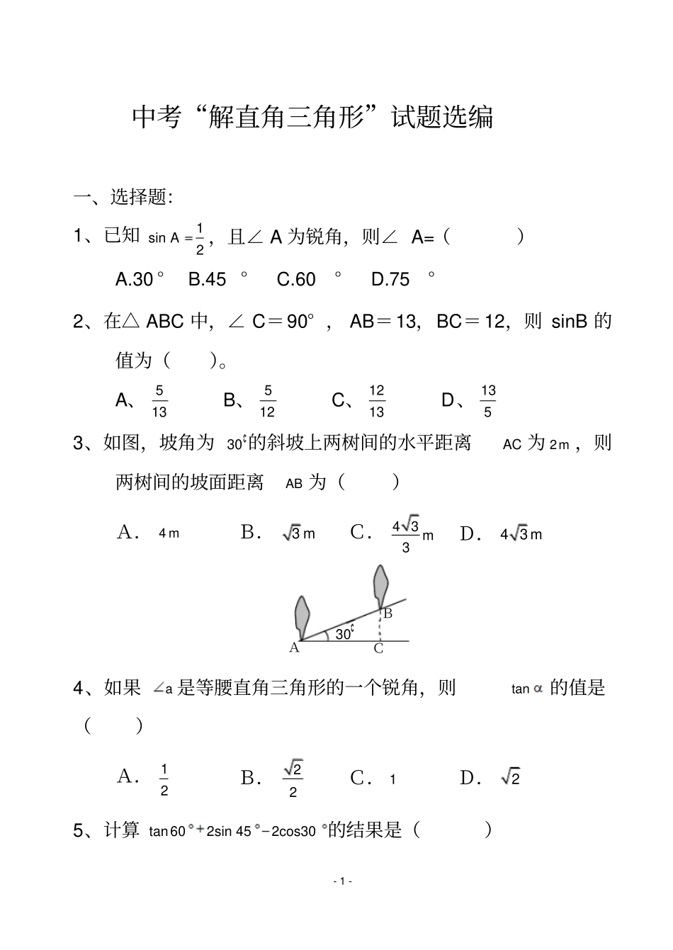 解直角三角形中招精选资料_第1页
