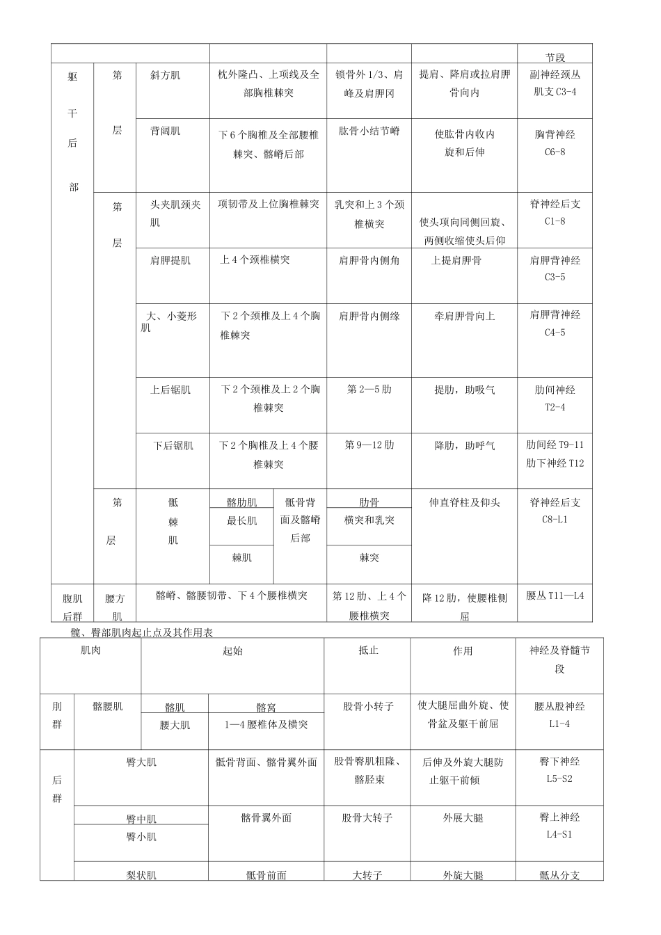 全身肌肉起止点_第3页