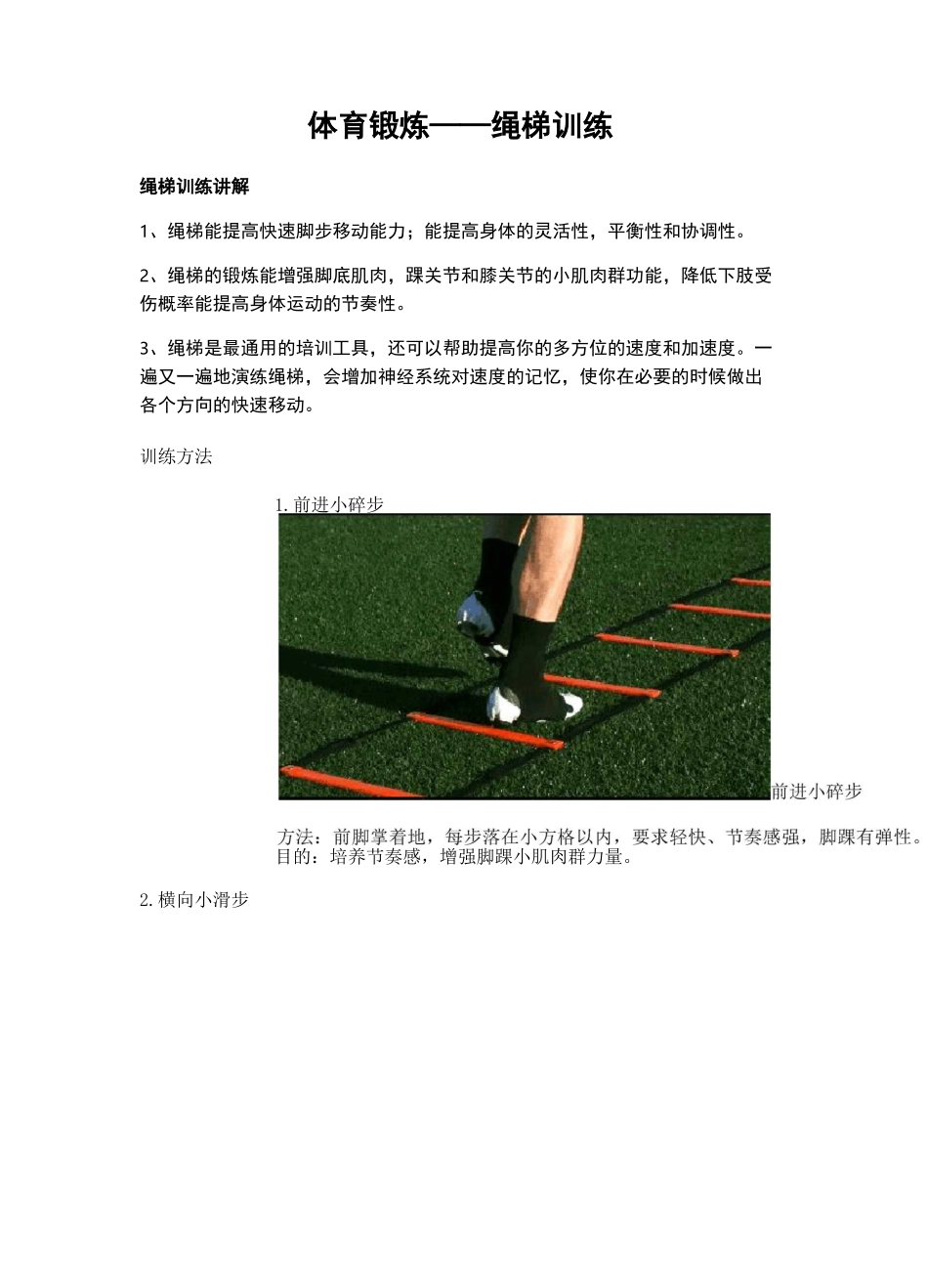 体育锻炼——绳梯训练_第1页