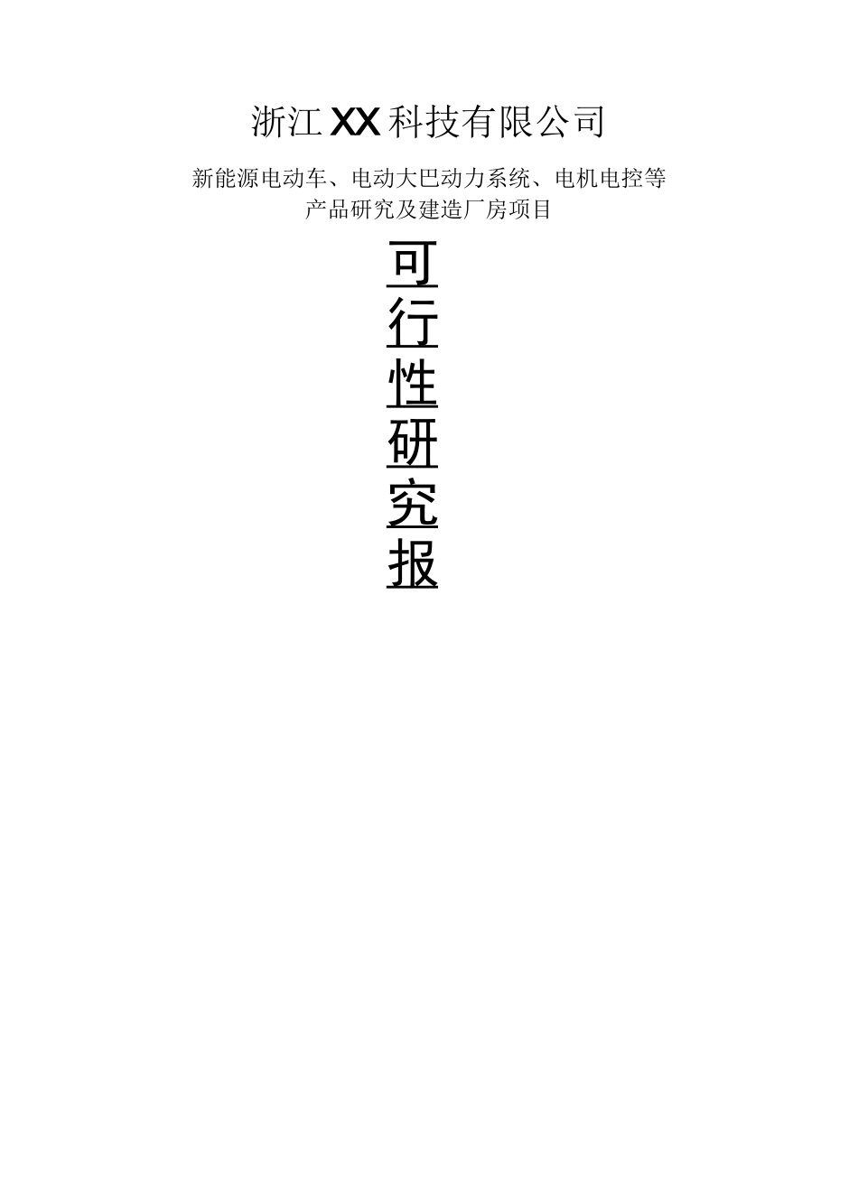 新公司项目可行性报告.._第1页