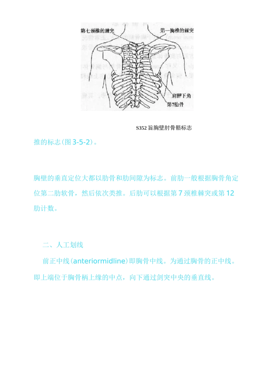 胸部的体表标志_第3页