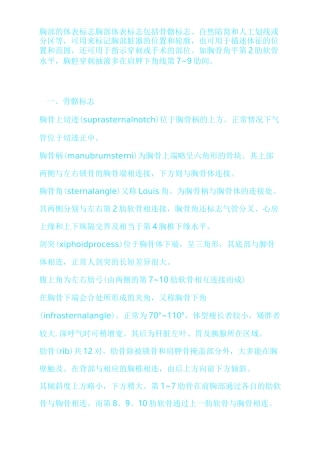 胸部的体表标志