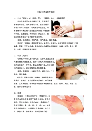 中医特色诊疗项目